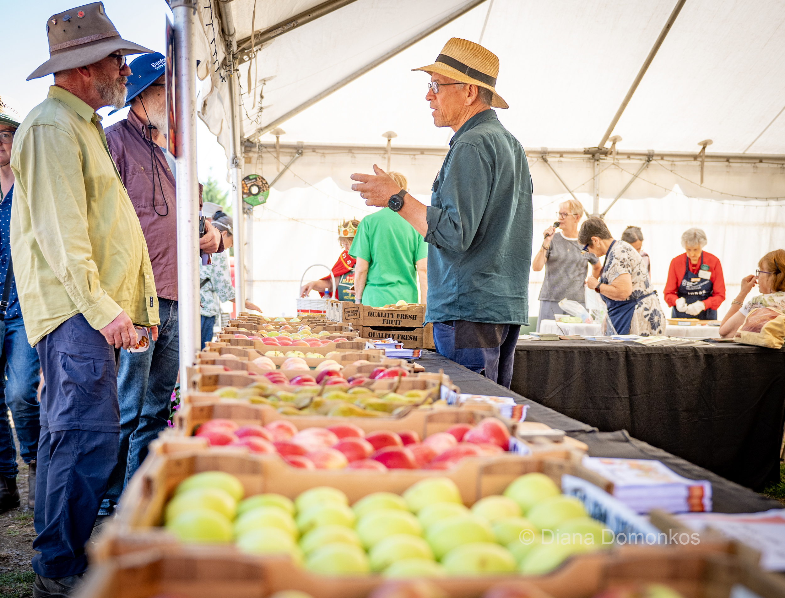 Visitors talking beside a table of Harcourt apples