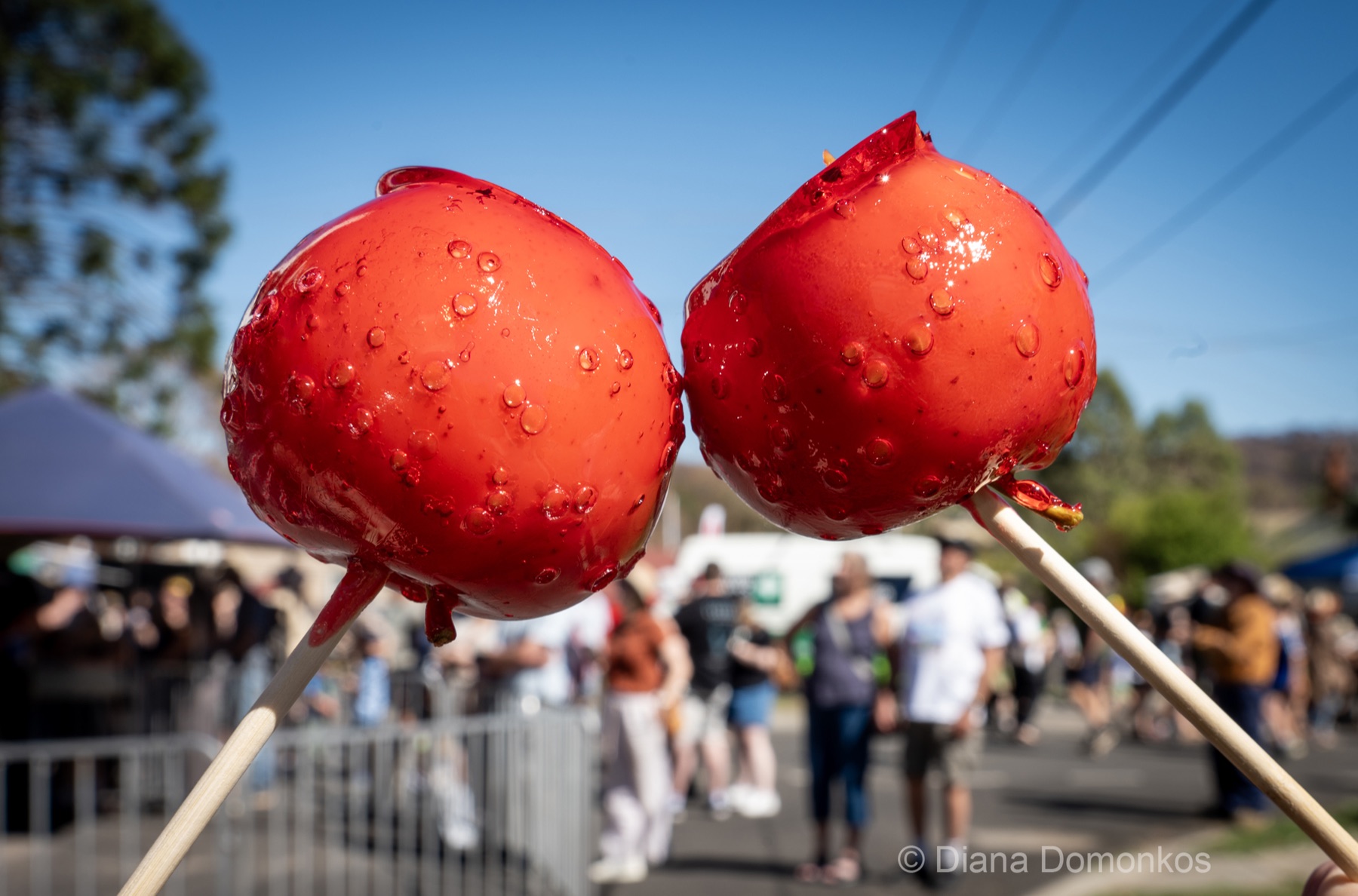 Toffee apples held up at Harcourt Applefest