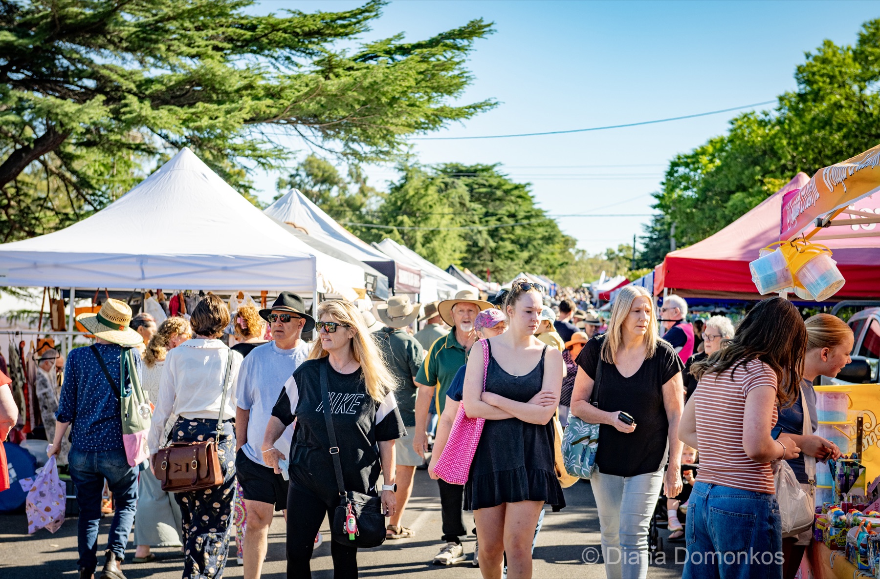 Visitors walking between market stalls at Harcourt Applefest