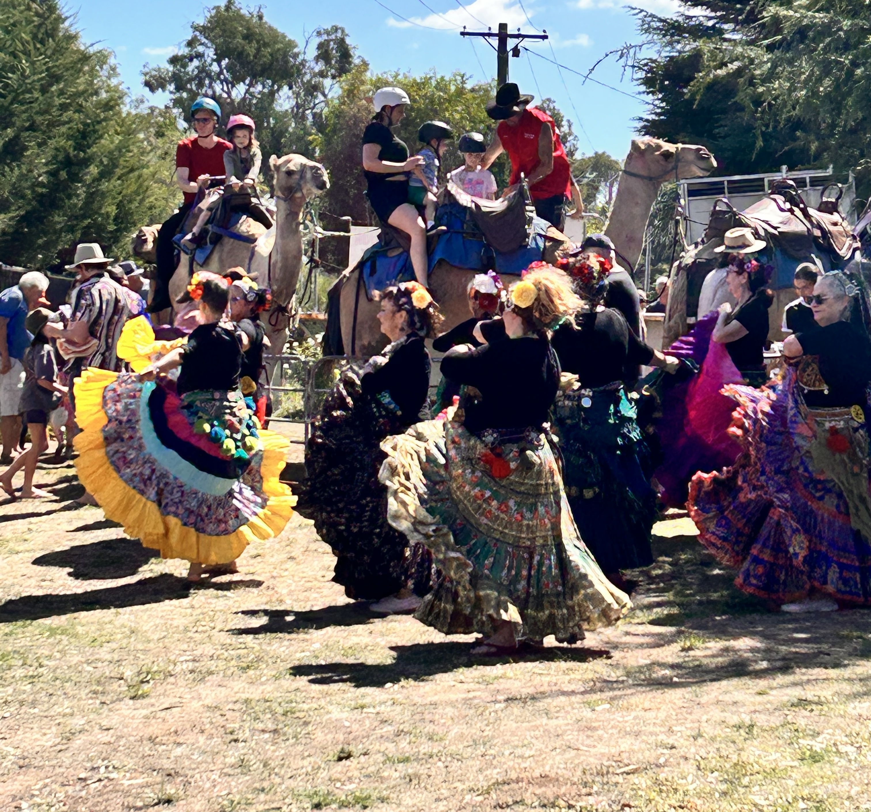 Colourfully dressed community performers at Applefest